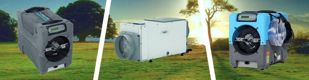 6 Best Reliable Whole House Dehumidifiers — Take Good Care of Your Home!