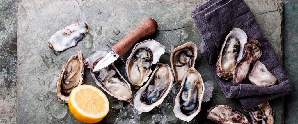 10 Best Oyster Knives – Open the Shells Up With Much More Ease!